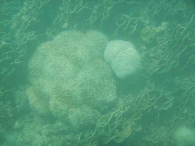 dscn1681